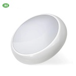 24W 36W 48W led ceiling lamp